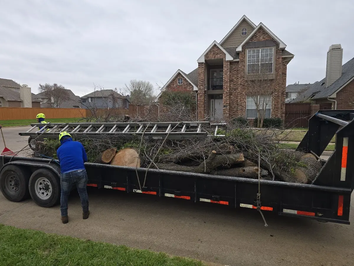 Expert Crown Reduction with proper safety equipment in Boykin